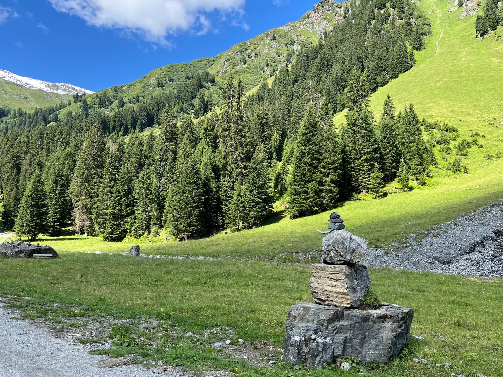 Alpwiese im Garneratal mit einem aufgeschichteten Steinmandl vor dem Wald