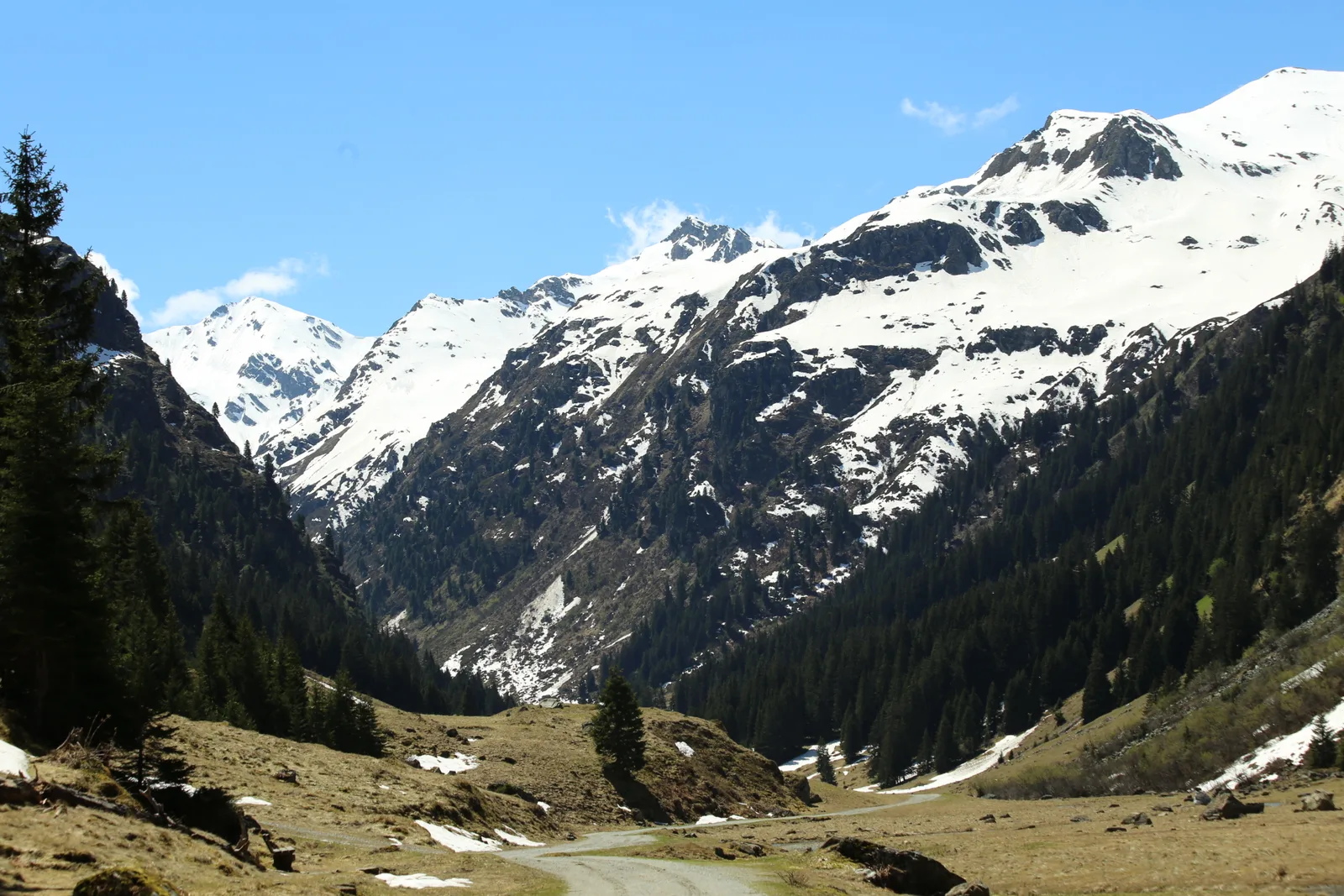 Blick durch das Garneratal auf die schneebedeckten Gipfel am Talschluss