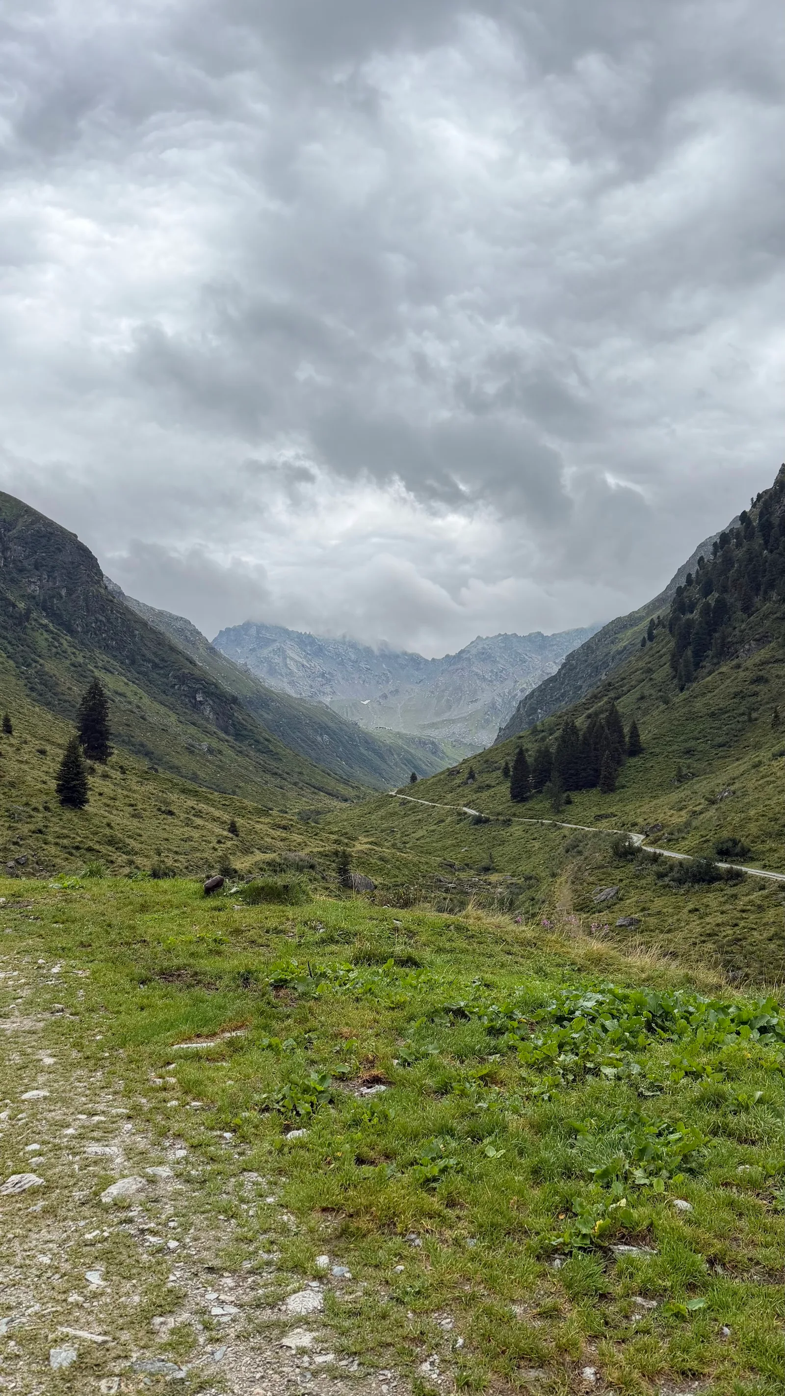 Der Weg durch das Garneratal bei bedecktem Himmel, dahinter die Bergflanken